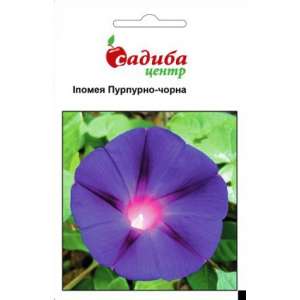 Іпомея пурпурно-чорна - квіти, 0,5 г насіння, ТМ Садиба Центр фото, цiна